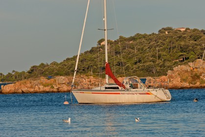 Pezza Cardo