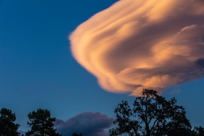 Lenticulaire