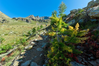 Vallon de Prals