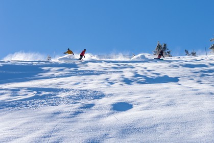 Snowboard