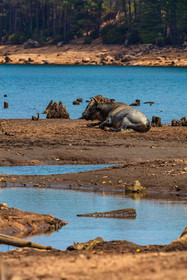 Lac de l'Ospédale