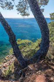 Plage de Fabrégas