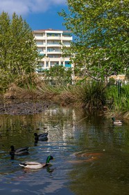 Park Exflora