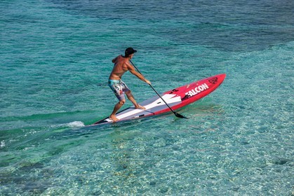 Paddle