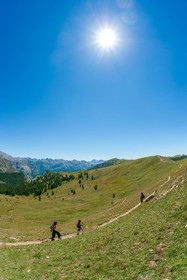 Rando Rochegrand