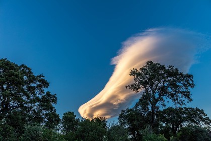 Lenticulaire