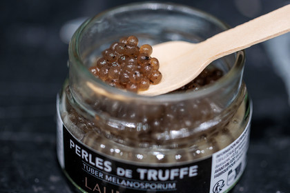 Truffe