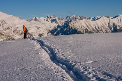 Auron