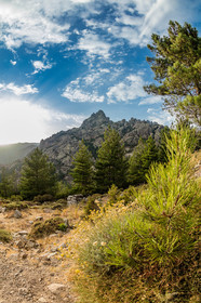 Bavella