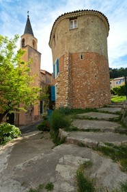 Bargemon