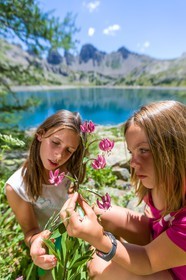 Rando Lac d'Allos