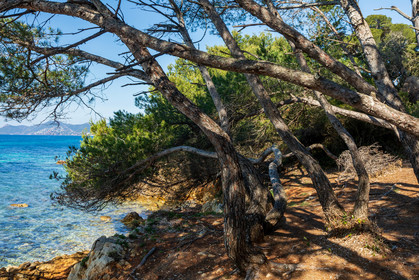 Lérins Sainte-Marguerite