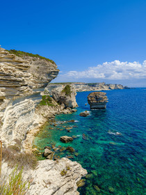 Bonifacio