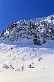 Snowboard
