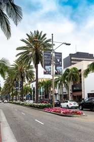 United States, South California, Los Angeles, Rodeo Drive