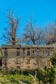 Morosaglia