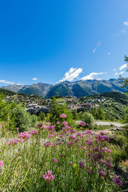 Auron