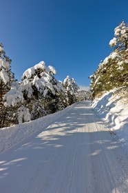 Route enneigée