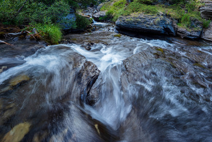 Torrent