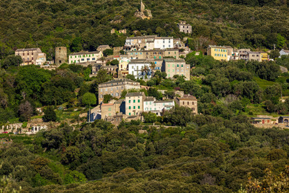 Rogliano