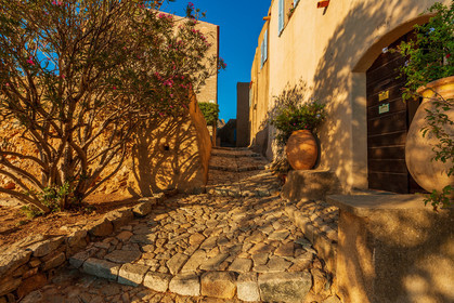 Pigna