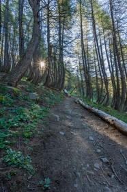 Col de la Petite Cayolle
