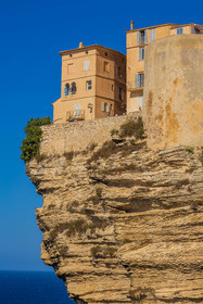 Bonifacio