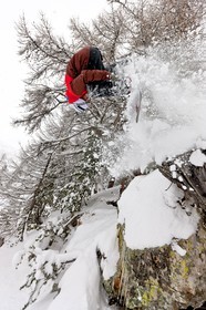 Snowboard