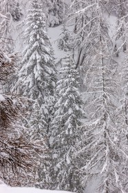 Valberg