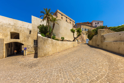 Calvi