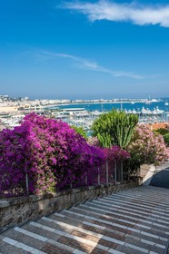 Cannes