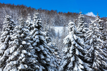 La Foux-d'Allos