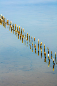 Salins d'Hyères