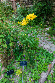 Colmars-les-Alpes