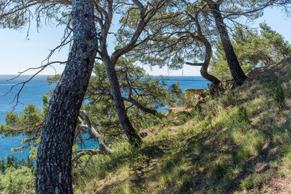 Plage de Fabrégas