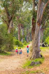 Lérins Sainte-Marguerite