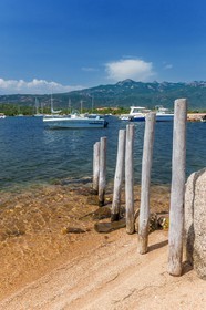 Figari