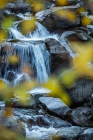 Automne