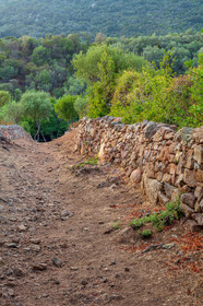 Monaccia d'Aullène