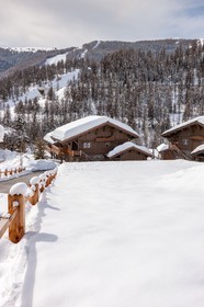 Auron