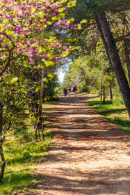 Lérins, Sainte-Marguerite