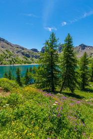 Lac d'Allos