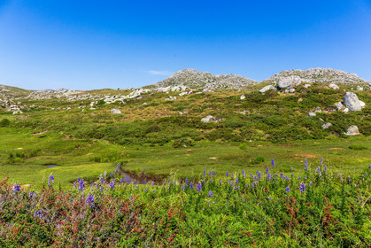 Plateau du Coscione