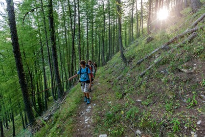 Rando Vtt Lacs de Lignin