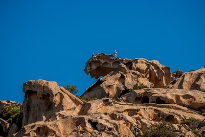 Capo d'Orso