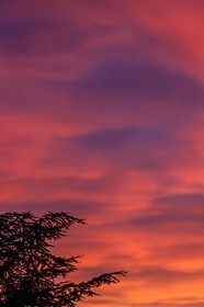 Nuages