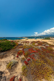 Tonnara