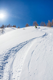 Freeride