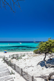 Saleccia