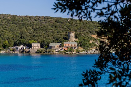Meria